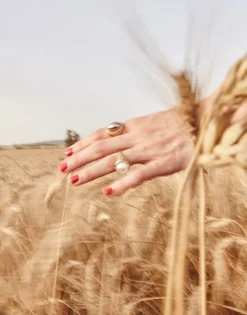 Majorica Anillo Sello Zale Con Perla Media Bola Blanca| Anillos Grandes