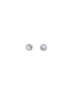 Majorica Pendientes Cies Plata Con Perla Nuage 4Mm| Pendientes Cortos