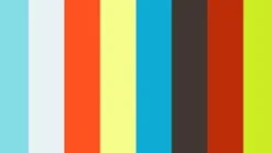 Majorica Pulsera Color Pop Sunset Piedras Degrade Y Perlas Blancas| Pulseras Doradas